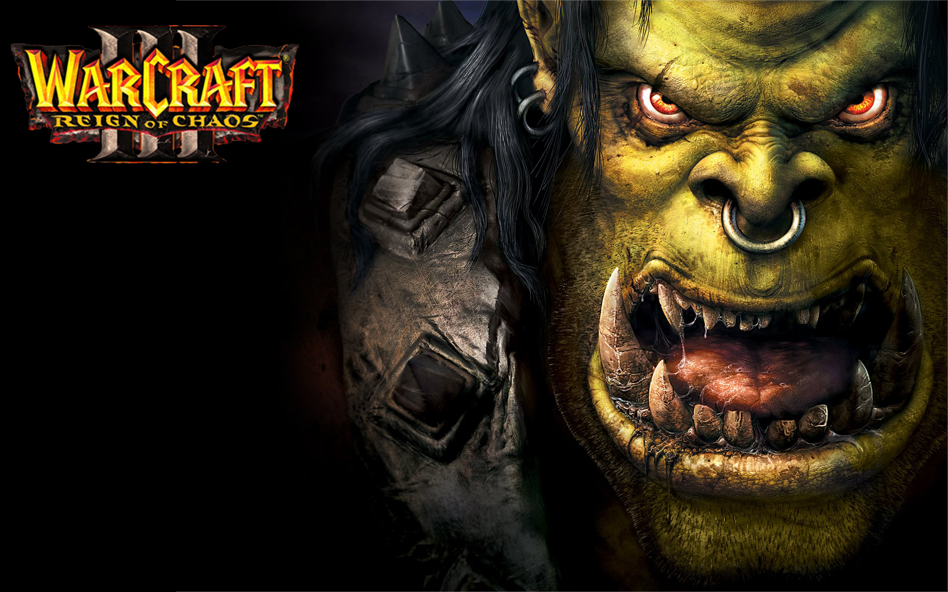 Warcraft III: Reign of Chaos artwork featuring the original orc portrait